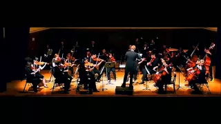 Mozart Symphony No. 25 in G Minor KV 183, mvmt. 1