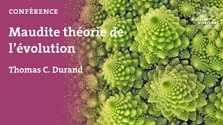 MOBE - CONFERENCE - Thomas C. Durand : Maudite théorie de l'évolution