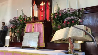 Traditional Latin Mass Sunday 14 March 2021 @St Anne’s — Laetare Sunday [4K]