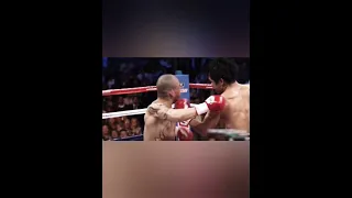 Manny Pacquiao highlights. Knockout. #boxing #бокс #нокаут #mannypacquiao
