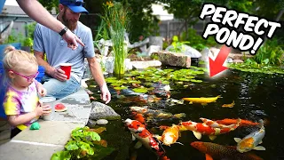 This is What a PROPER POND - GARDEN should look like.