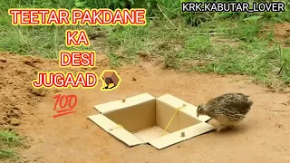 TEETAR PAKDANE 🪤KA DESI 🐧JUGAAD KAISA LAGA #teetar #desi #trending #public #vlogs #shorts