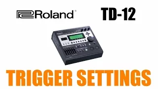 How to set up Roland  TD 12 Module Trigger settings guide lesson