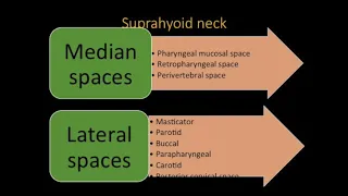 TMT: Neck Spaces Overview by Dr Jyoti Kumar