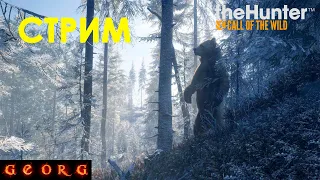 Стрим. theHunter: Call of the Wild. Медвежья тайга.#12