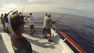 Wahoo! Wahoo! Wahoo Fishing on the Independence at Alijos Rocks trip #1928 November (2019)