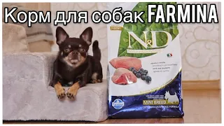 Обзор на корм для Собак Farmina n&d