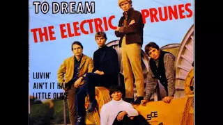 The Electric Prunes - I Had Too Much to Dream (Last Night) 1967 HD