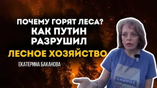 Лесные пожары в России. Путин разрушил лесное Хозяйство? Екатерина Баканова