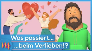 Das passiert im Körper… beim Verlieben 💖 🥰| Wissen4free