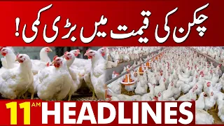 Latest Price Of Chicken! | 11:00 AM News Headlines | 02 August 2023 | Lahore News HD