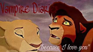 {Vampire Diaries} "Because I love you" [Lion king Version]
