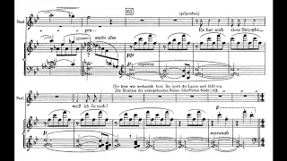 Erich Korngold: Marietta's Lied from Die Tote Stadt (w. Score)