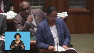 Fijian Minister for Industry and Trade's response on the 2019-2020 National Budget