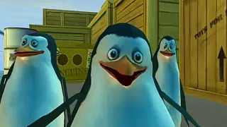 но но но пингвины - Madagaskar