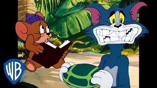 Tom & Jerry in italiano | Coppia combinaguai | WB Kids