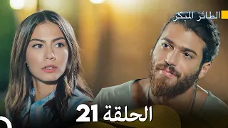 مسلسل الطائر المبكر الحلقة 21 (Arabic Dubbed)