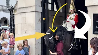 DISRESPECTFUL TOURISTS REFUSE TO RELEASE HOLD ON HORSE’s head and reins.