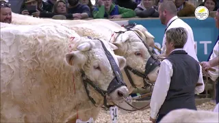 Paris SIA 2024 charolais gaeccadoux