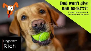 S1- E2: How to get your ball back during a game of fetch!