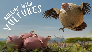 ROLLIN' SAFARI - 'Vulture' - what if animals were round?
