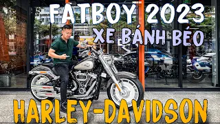 Harley Fatboy 2023 Gray Haze Silver Fortune  - Xe mô tô BÁNH BÉO nổi tiếng đến từ Mỹ