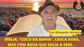 Bíblia, “coco da Bahia”, casca dura, mas com água que sacia a sede do romeiro/a. Por frei Gilvander