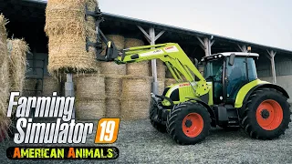 Buying new field, selling 150 silage bales!★ Farming Simulator 2019 Timelapse ★ New Woodshire ★ 6