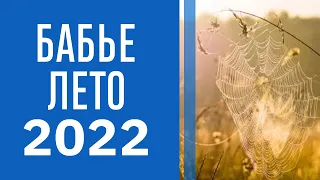 Бабье лето 2022: когда оно наступит и от чего это зависит