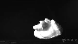 Popping Popcorn Slo-Mo'd For Science! | Video