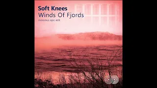 Soft Knees - Winds of Fjords (minomus Epic Edit)