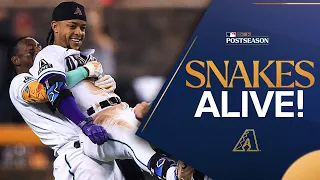 SNAKES ALIVE! Extended cut of the WILD Diamondbacks walk-off!