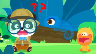 Baby Panda's Animals: Chameleons - Join Kiki and Learn About Chameleons Traits - Babybus Games