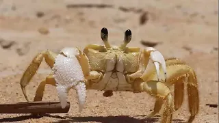 Conheça a pousada aratu em Barra Nova ES