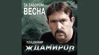 За забором весна