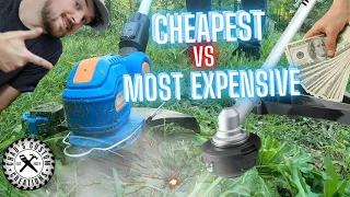I Got the Cheapest Battery powered String Trimmer comparison