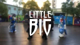 【Furry Dancing】LITTLE BIG – SKIBIDI
