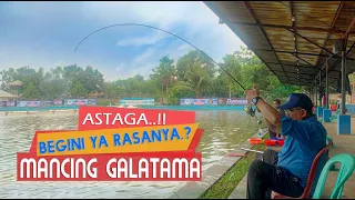 Ternyata Ini Yang Bikin Ketagihan Galatama Ikan Mas