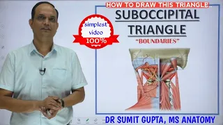 SUBOCCIPITAL TRIANGLE || Boundaries ||