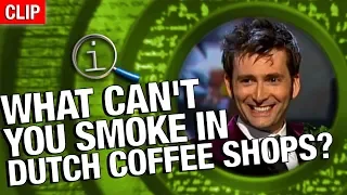 QI | What Can't You Smoke In Dutch Coffee Shops?