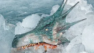 Scary Things Found Frozen In Ice