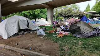 How Policy and Enforcement Shape Unsheltered Homelessness in Lane County