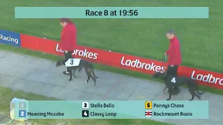 Crayford Greyhounds Races on 16th April 2024