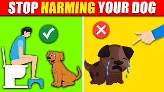 Stop Doing These 14 Things to Your Dog