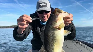 Toledo Bend Bass Pro Tour Scouting Trip: Lowrance Active Target  Forward Facing Sonar Tip and Tricks