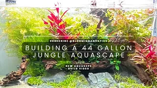 Building a 44-gallon jungle style aquascape