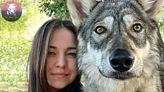 Woman Saved a Wolf Cub, Years Later You Won't Believe How It Returned the Favor
