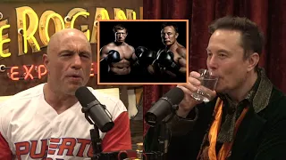 Joe Rogan & Elon Musk - Mark Zuckerberg Chicken out of Fighting Elon? Is it Still Happening?