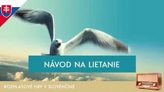 Richard Bach - Návod na lietanie (rozhlasová hra / 2001 / slovensky)