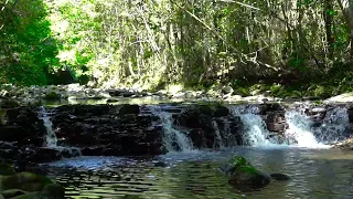 Healing The mysterious clear stream and the waterfall shine emerald green